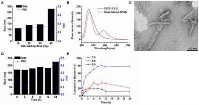 Deliver Anti-inflammatory Drug Baicalein to Macrophages by Using a Crystallization Strategy